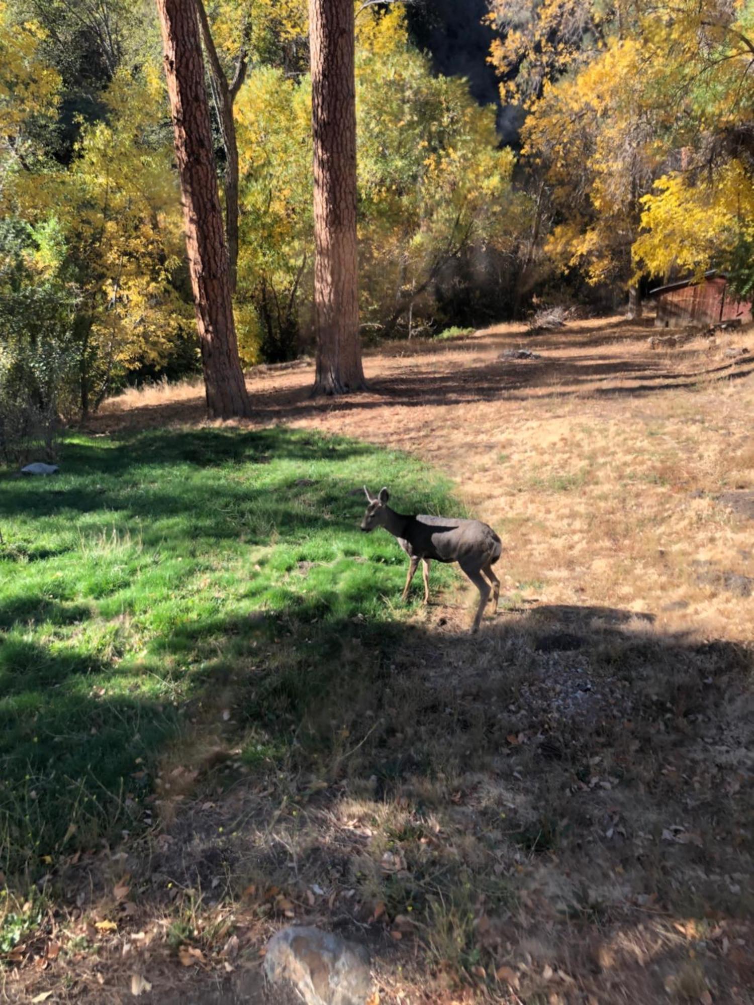 Quiet Mind Lodge, Spa & Retreat Sequoias Kernville Bagian luar foto