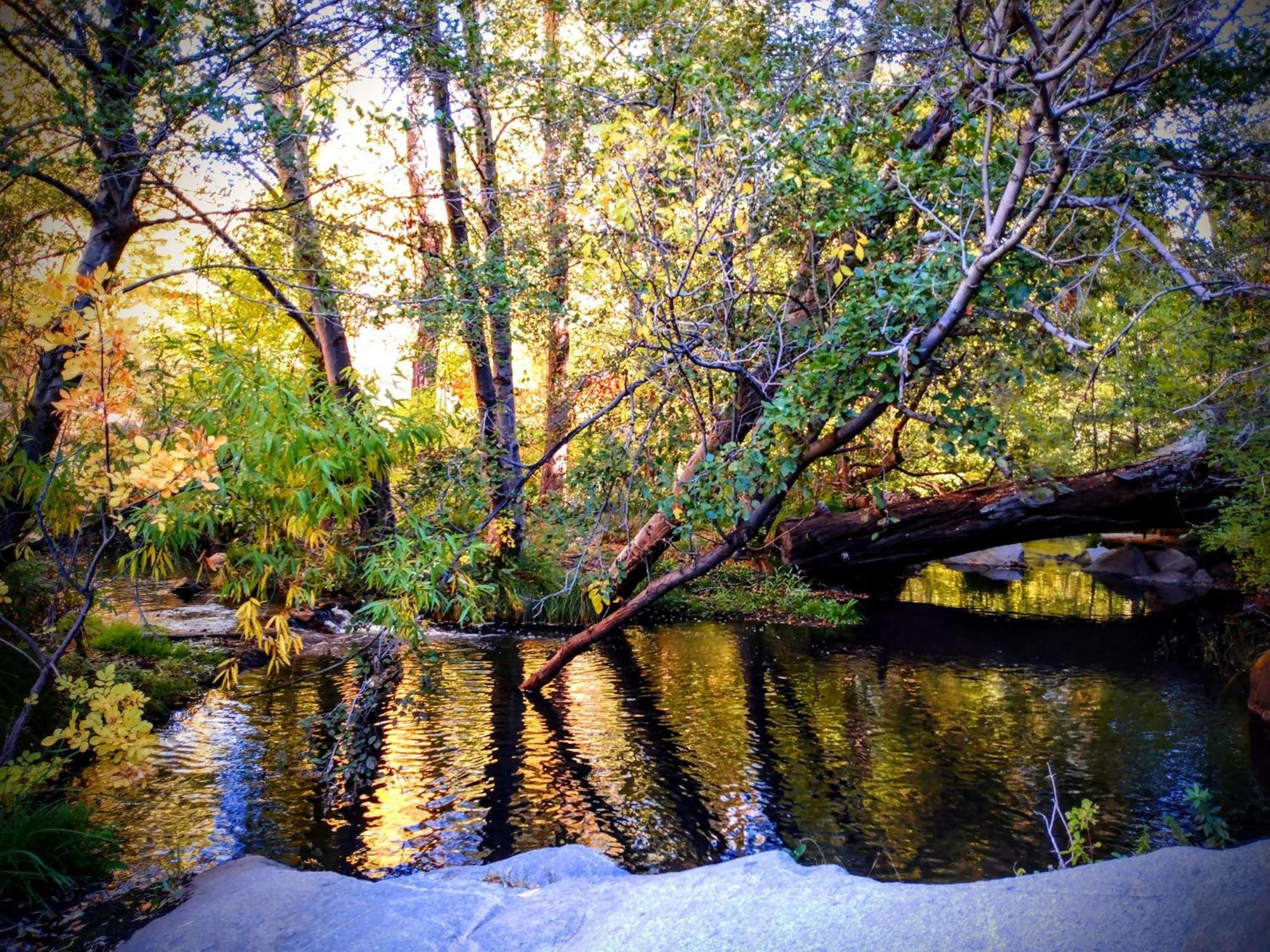 Quiet Mind Lodge, Spa & Retreat Sequoias Kernville Bagian luar foto