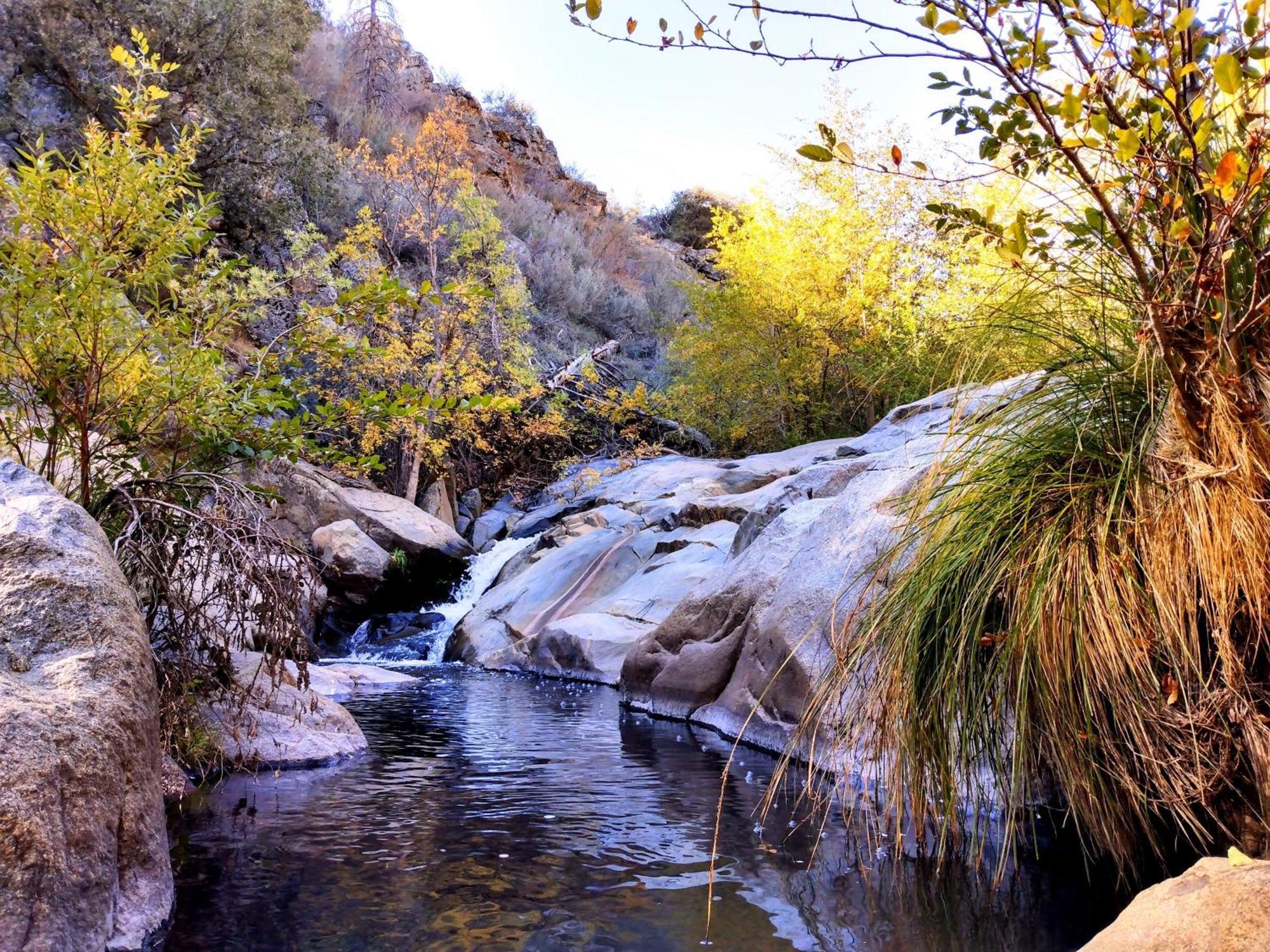 Quiet Mind Lodge, Spa & Retreat Sequoias Kernville Bagian luar foto