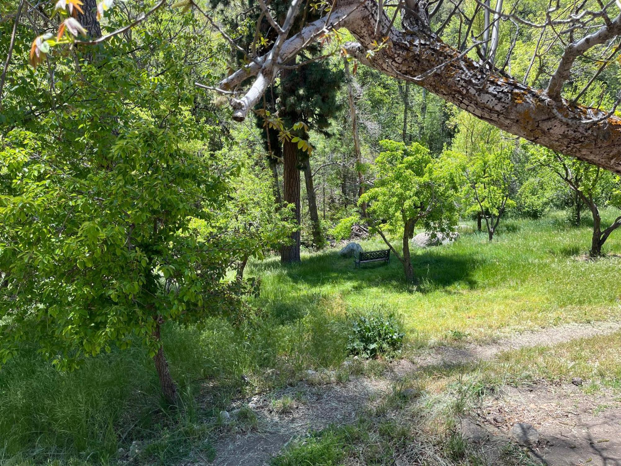 Quiet Mind Lodge, Spa & Retreat Sequoias Kernville Bagian luar foto